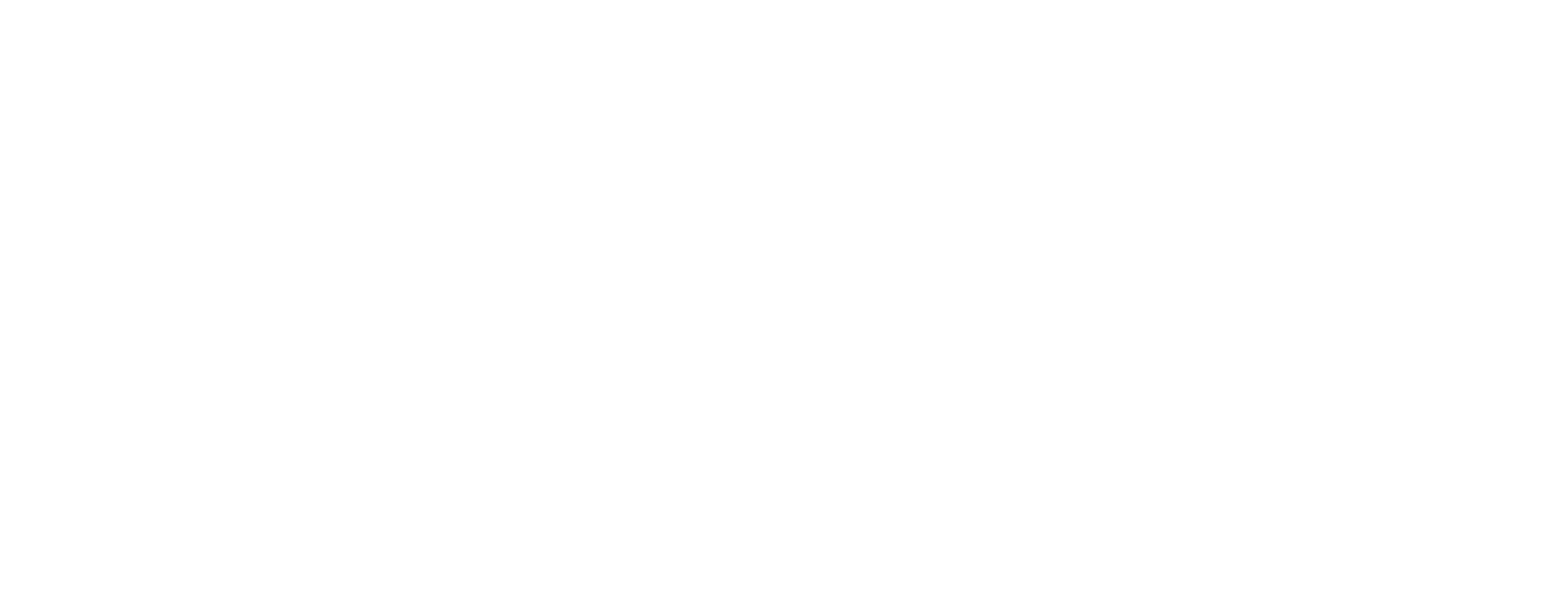 logo bianco sfondo trasparente edusex